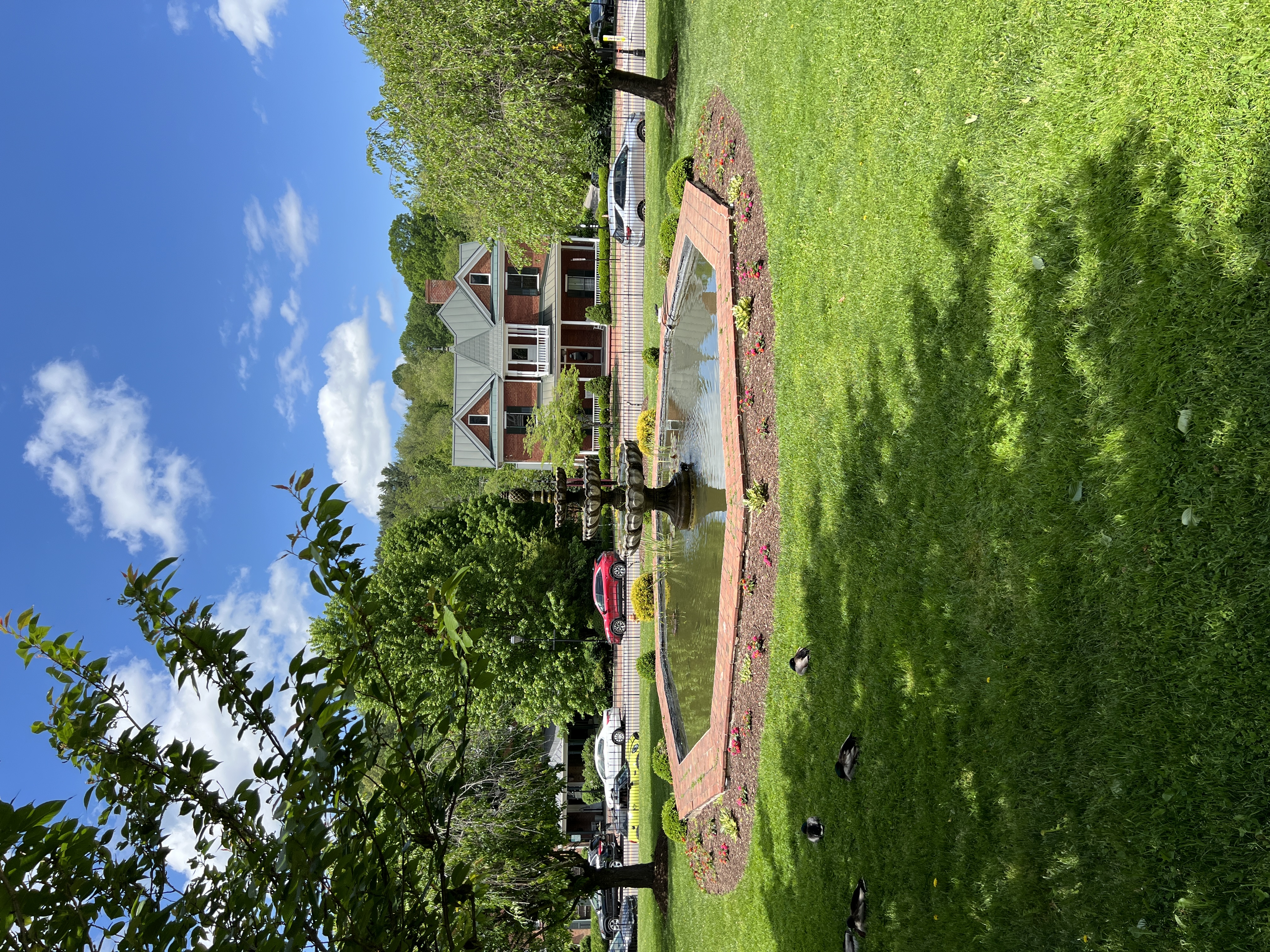 ./2025/04 - Virginia Creeper/IMG_5547.JPG